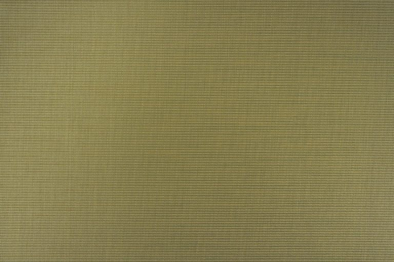 Dupioni Kiwi Swing Skin